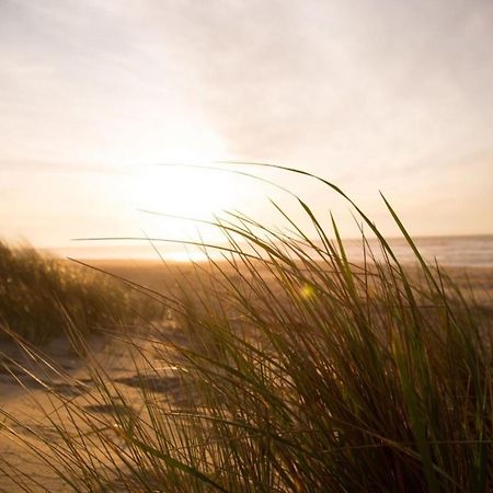 Grosse Nordseewelle Ohne Hund Norden Luaran gambar