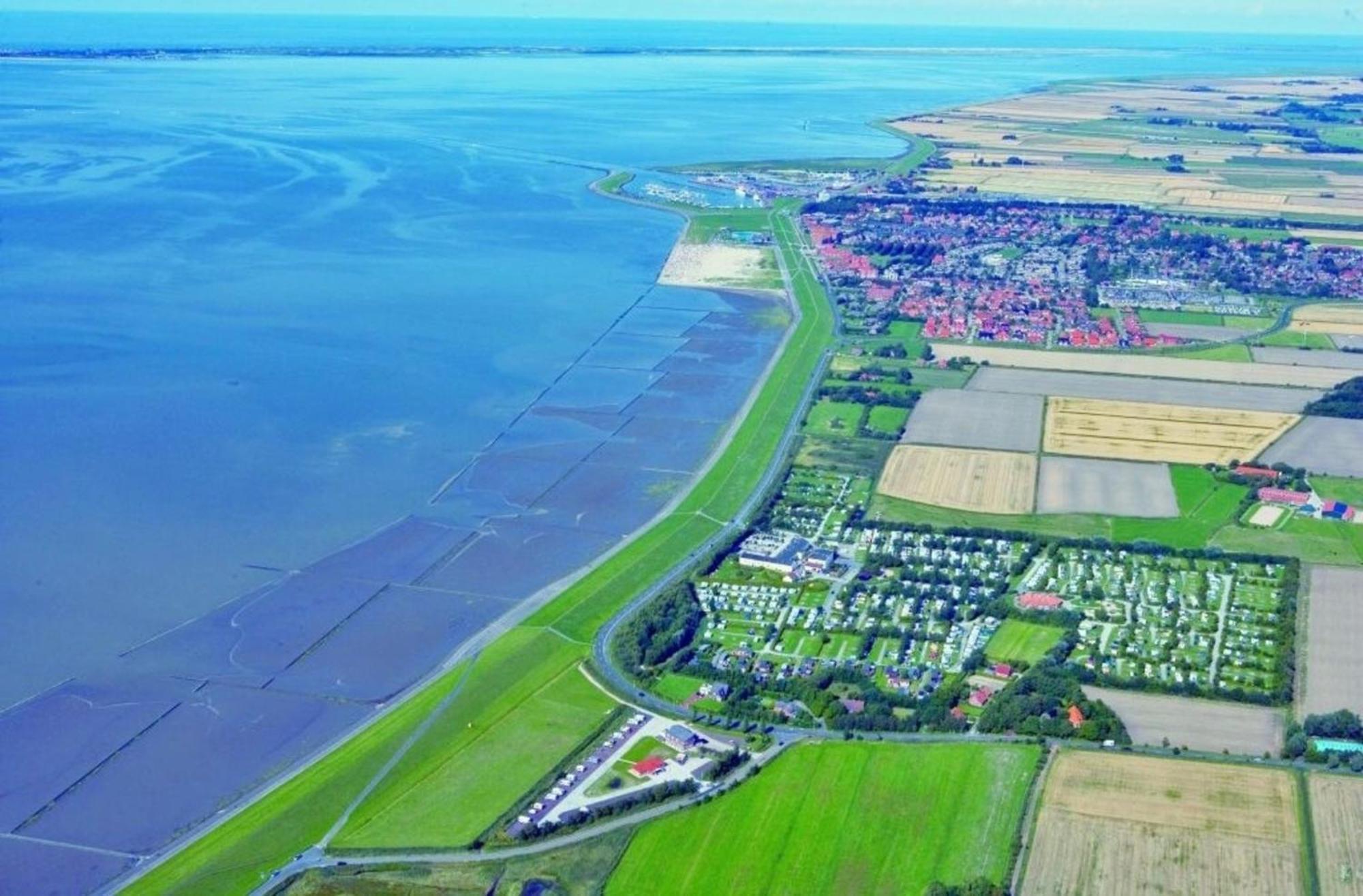 Grosse Nordseewelle Ohne Hund Norden Luaran gambar